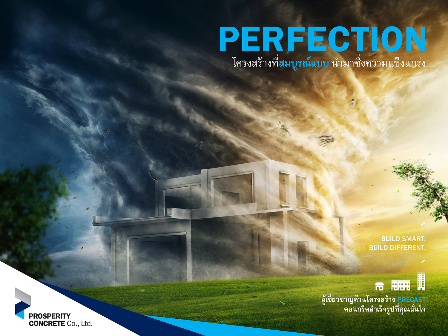 Pros-2017_Online-Ad_06-Perfection_c14_r1-FINAL_Simp-28x21-cm